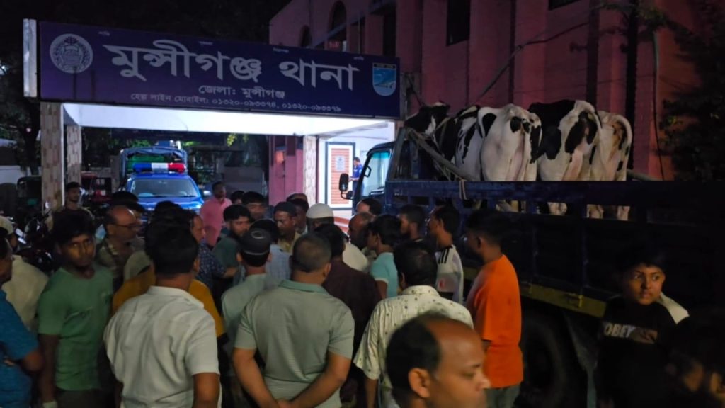 মুন্সীগঞ্জে গরুর খামারে ডাকাতির ঘটনায় গ্রেফতার-২, গরু উদ্ধার